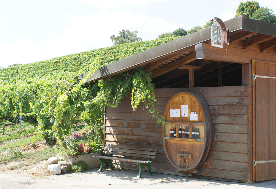 Le domaine